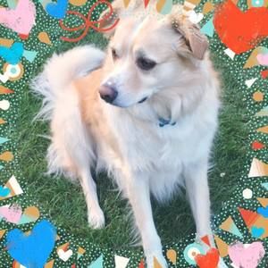 Meet your Posher, Ann